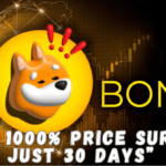 BONK Coin