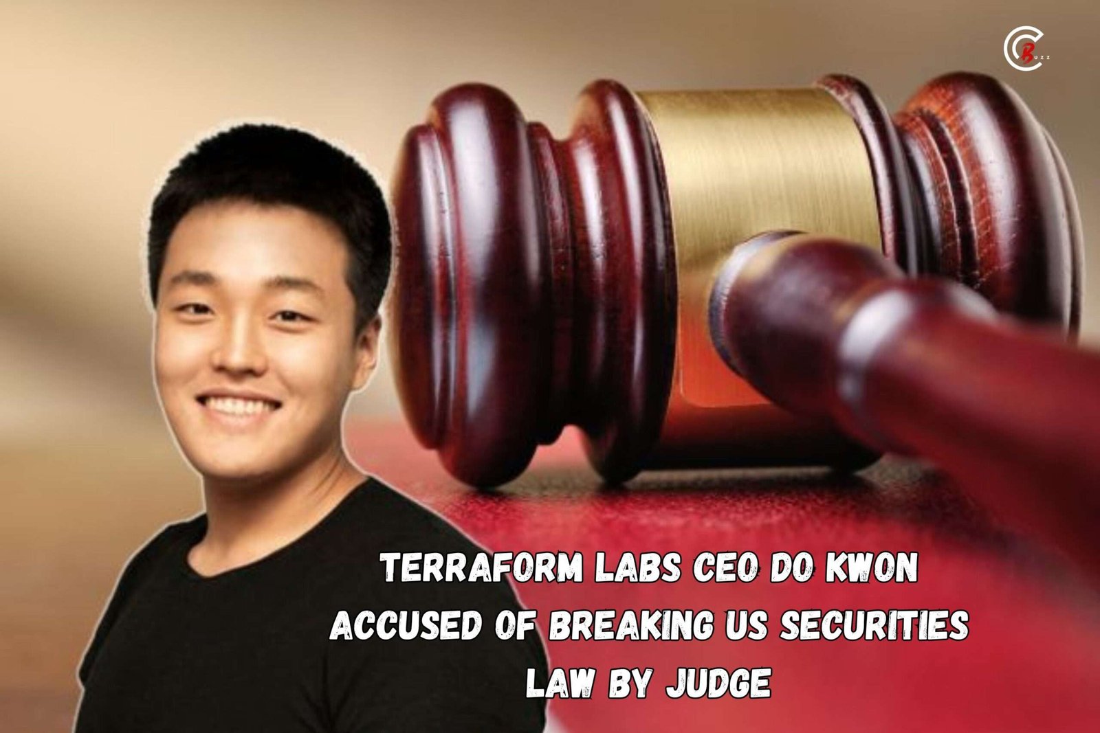 Terraform Labs CEO