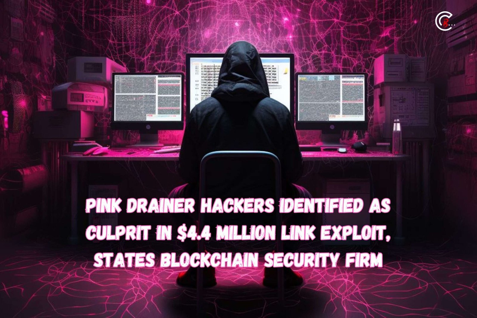 Pink Drainer Hackers