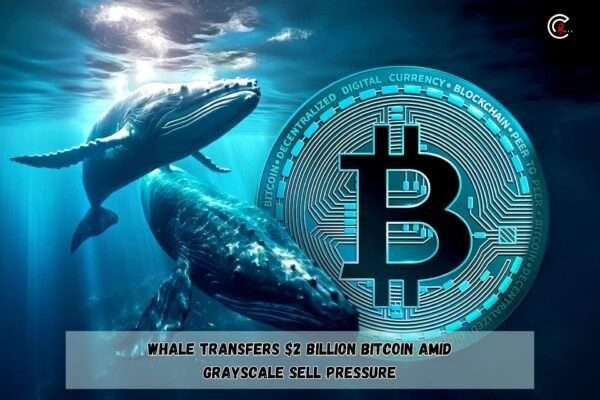 Bitcoin Whale