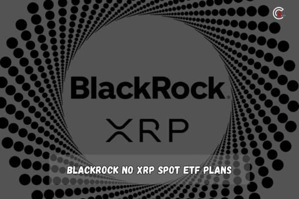 BlackRock No XRP Spot ETF Plans